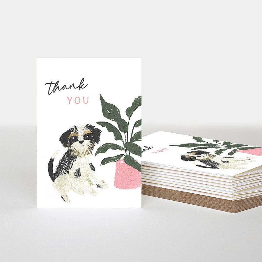 Cards S Wrap CAROLINE GARDNER Packs Of Cards | Cute Dog Thank You Notecards Pack Of 10